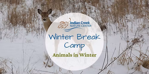 Winter Break Camp: Animals in Winter