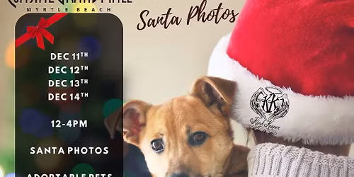 Adoptable Puppies @ Coastal Grand Mall