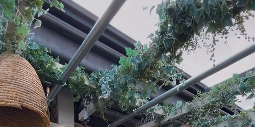 Acoustic Sessions on the Terrace