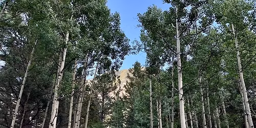 Sanctum & Soil Unlayered Wellness Retreat