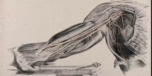 Knives Out! A History of Human Dissection - Lauriston Lectures