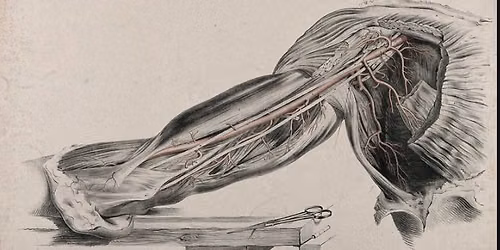 Knives Out! A History of Human Dissection - Lauriston Lectures