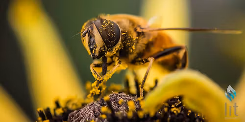 Creston Nectar Network 