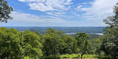 Joint potluck lunch event with the Charlotte Area NPA