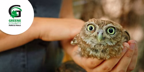 All About Birds (Ages 55 & Up)