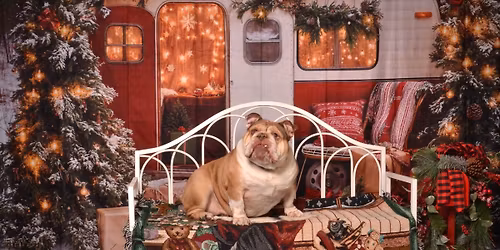 A 3 Date Canine Christmas Portrait Event