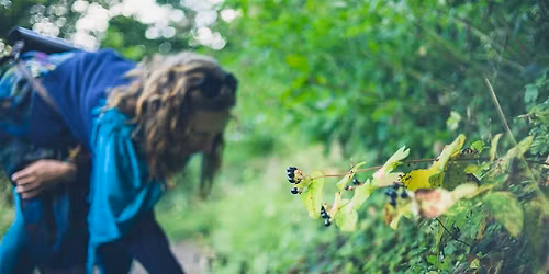 Des Moines Mushroom Festival 2026 - Foraging Hike