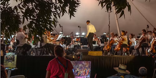 Symphony Under the Stars