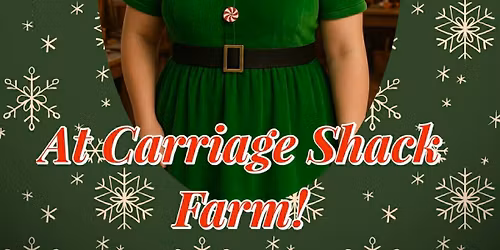 Elf workshop day at the farm!