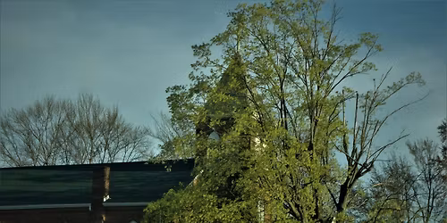 Christmas at Corning 