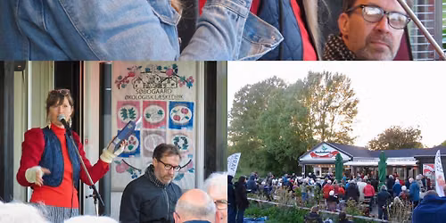 Syng Solen Ned ved Damhuskanten