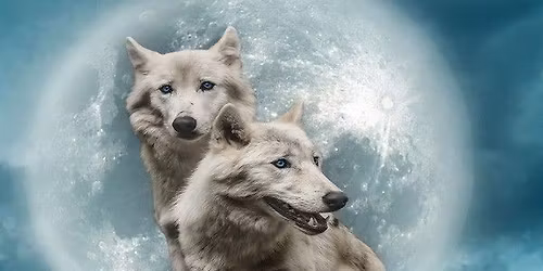 New Moon Sweat Lodge