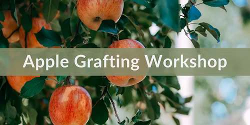Apple Grafting Workshop | Kaysville 2026