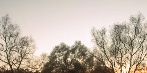 Colectivo Casa Amarela x ZDB: Jejum #40 c\/ Alto Aria e Conna Haraway