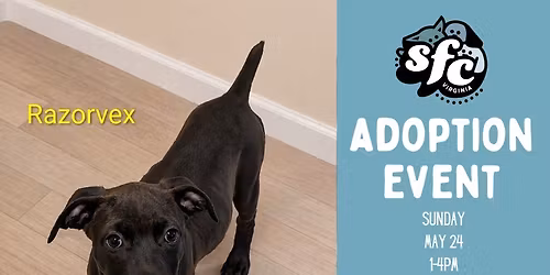 5\/24 Adoption Event at PetSmart Central Park