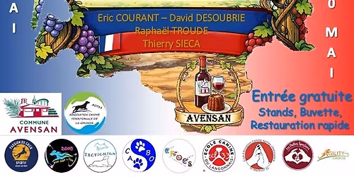 Championnat de France d'agility