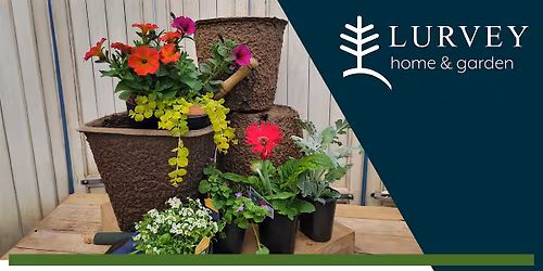 Hands-On Spring Mixed Container Potting Class - Morning