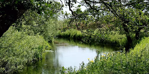 Noticing Nature: Journalling Workshop