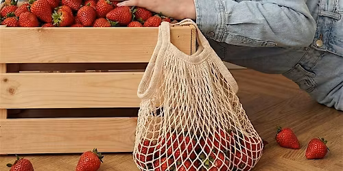 You\u2019re Invited: Spring Trunk Show VIP Event (Winter Park)