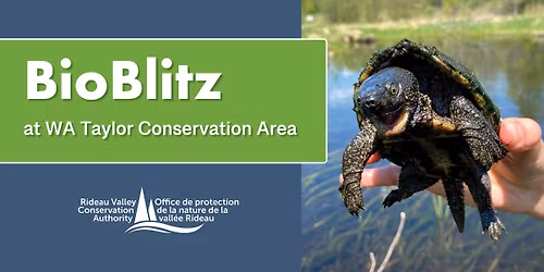 BioBlitz at WA Taylor Conservation Area!