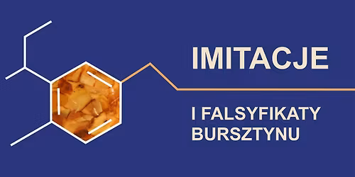 Akademia Bursztynu: Imitacje i falsyfikaty bursztynu - wyk\u0142ad Micha\u0142a Kosiora z Amber Experts
