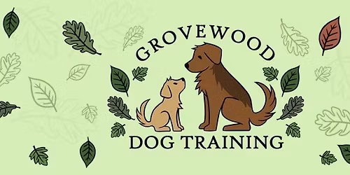 Sniff and Snack Christmas Nosework Workshop