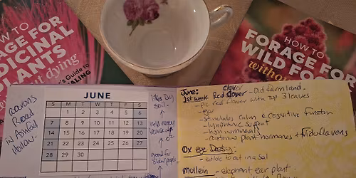 Don't miss the flowers you want! Foraging Calendar Workshop
