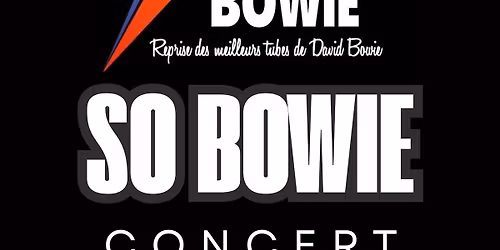 Concert So Bowie