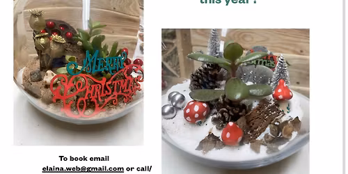 Christmas themed terrarium