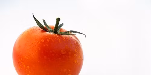 Back 5 Fields Plant Sale (DAY 1)