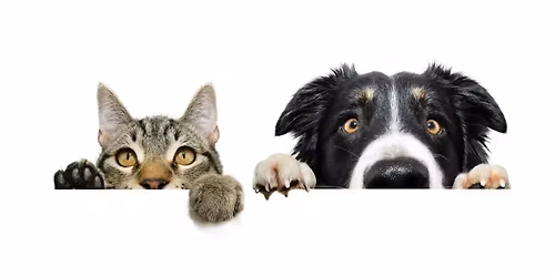 Santa Fe Animal Shelters Fund Raiser