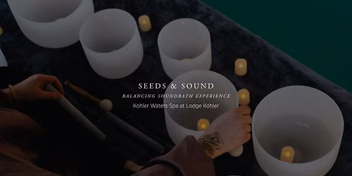 Seeds & Sound