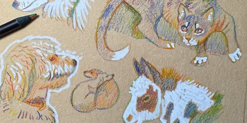 Create Dobell inspired pet portraits
