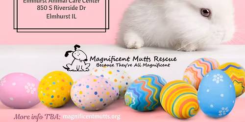 Easter Adoptions & Craft Show