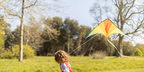 Kite Flying in the Parkland