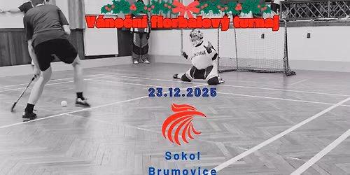 V\u00e1no\u010dn\u00ed florbalov\u00e9 setk\u00e1n\u00ed