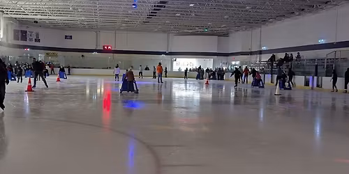 Family Skating Night