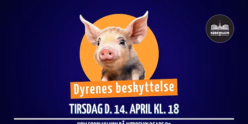 Dyrenes beskyttelse | Tirsdagsm\u00f8de i VU K\u00f8benhavn\ud83d\udc99