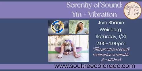 Serenity of Sound: Yin + Vibration with Shanin Weisberg