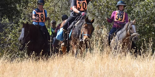 Cool Canyon NATRC ride