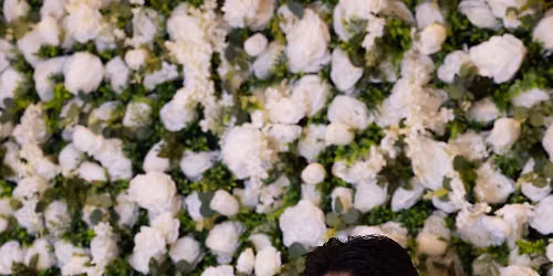 The Salem Wedding Show