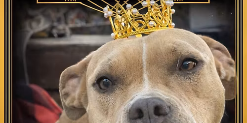 Trivia 10 year kickoff