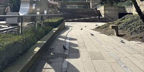 Urban Future Walks