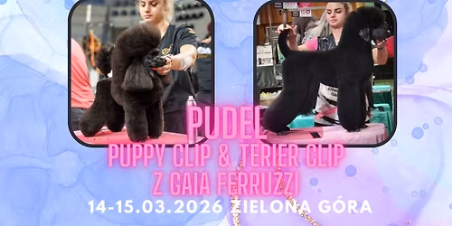 Pudel na Show z Gaia Ferruzzi - III EDYCJA