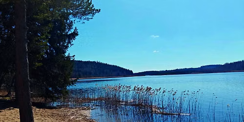 Toiminnallinen kes\u00e4p\u00e4iv\u00e4 perheille