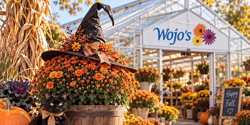 Wojo\u2019s Fall Fun Day - Davison 