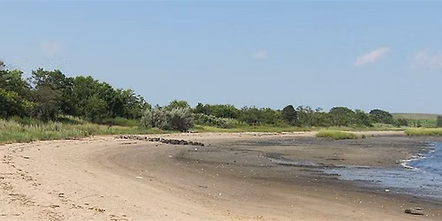Canarsie Beach Clean Up