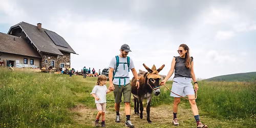 Saualpen Eselwanderung