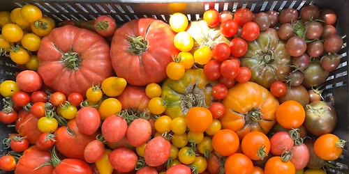 Egynapos tanfolyam kezd\u0151 kert\u00e9szeknek