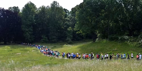 Rockwood Ramble 10k